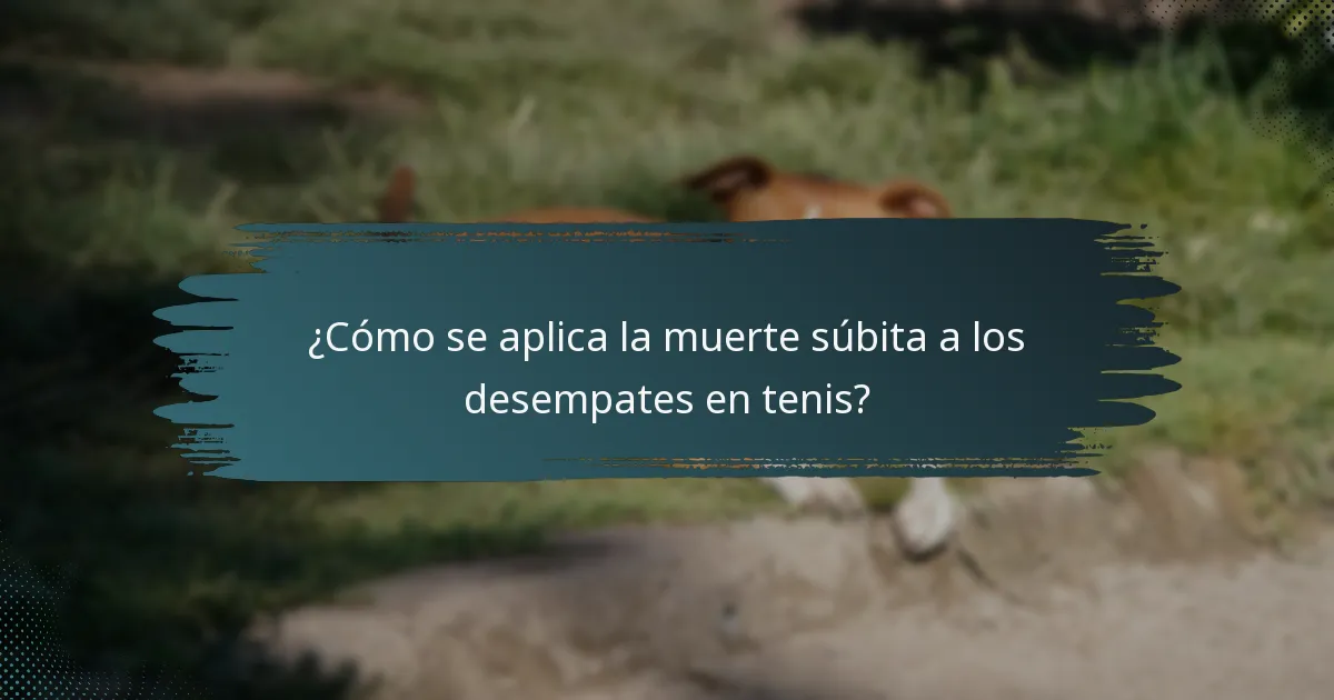 ¿Cómo se aplica la muerte súbita a los desempates en tenis?