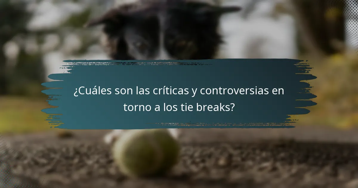 ¿Cuáles son las críticas y controversias en torno a los tie breaks?