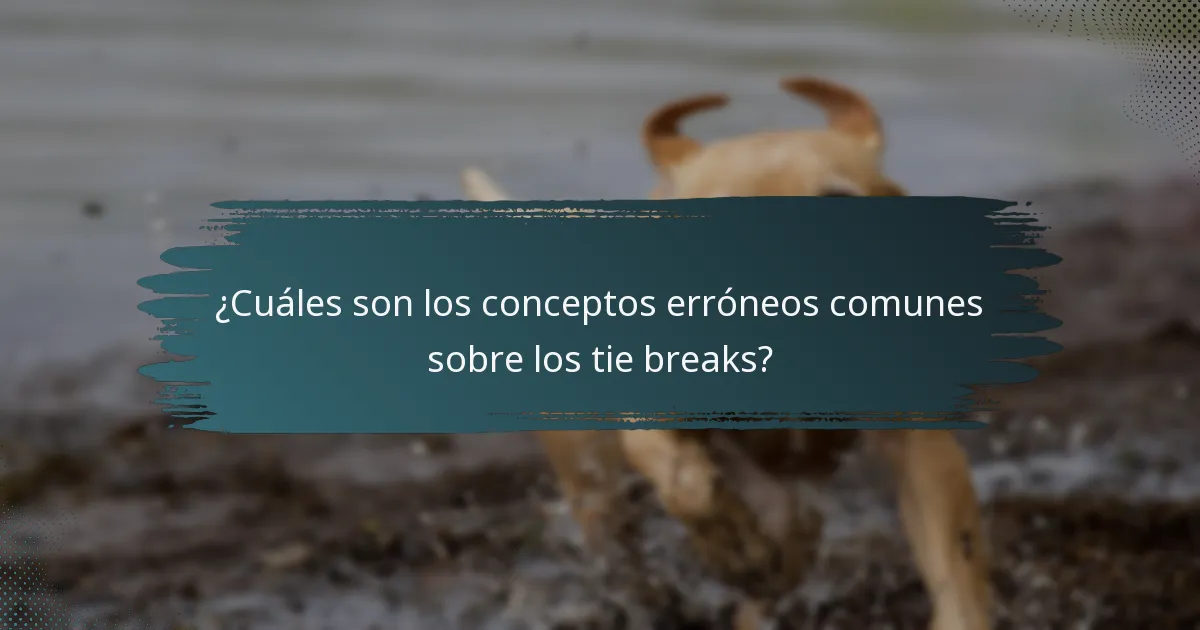 ¿Cuáles son los conceptos erróneos comunes sobre los tie breaks?