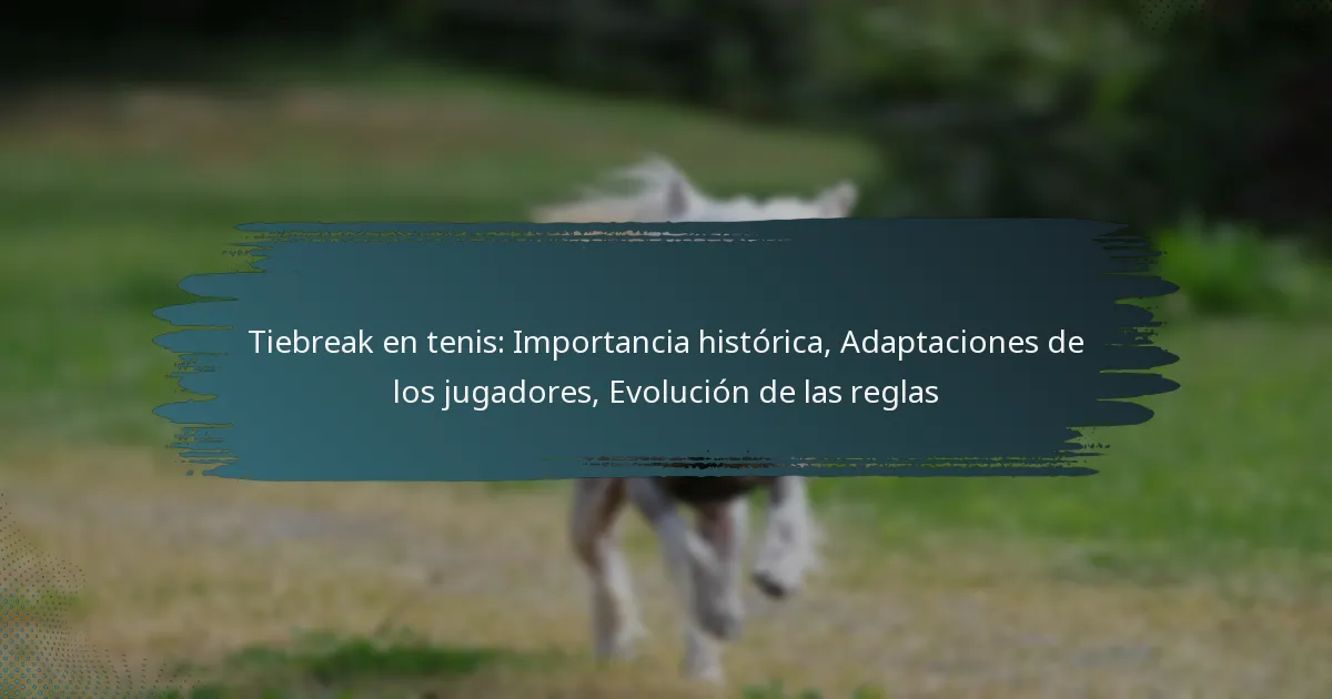 Tiebreak en tenis: Importancia histórica, Adaptaciones de los jugadores, Evolución de las reglas